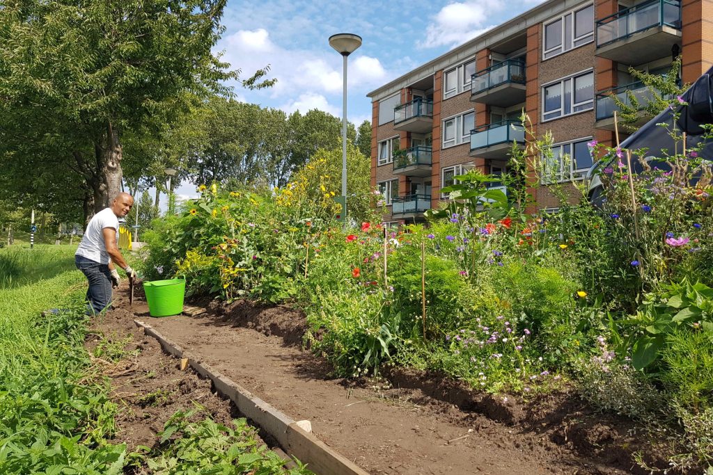 zelfbeheer-openbaar-groen-kwartslaan man aan het werk in openbaar plantsoen